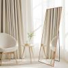 Set of 2 - Gold 65-inch Full Length Freestanding Floor Mirror with Stand
