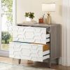 Modern Grey/White Wood 2 Drawer Filing Cabinet Printer Stand