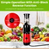 Cold Press Juicer Machine 300W Electric Slow Masticating Juicer for Whole Vegetable and Fruit with Reverse Function