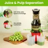Cold Press Juicer Machine 300W Electric Slow Masticating Juicer for Whole Vegetable and Fruit with Reverse Function