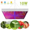 Full Spectrum Grow Light LED Grow Light Hanging 225 LEDs Plant