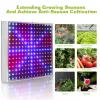 Full Spectrum Grow Light LED Grow Light Hanging 225 LEDs Plant