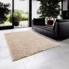 Cream Super Soft Polyester Shag Area Rug 5 x7