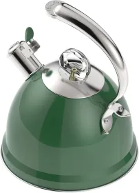 Green 2.5 Quart Whistling Stainless Steel Tea Pot, 3-Layer Base, Includes Pot Holder & Mat, Electric/Induction/Gas Stovetops Applicable